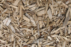 biomass boilers Pumsaint